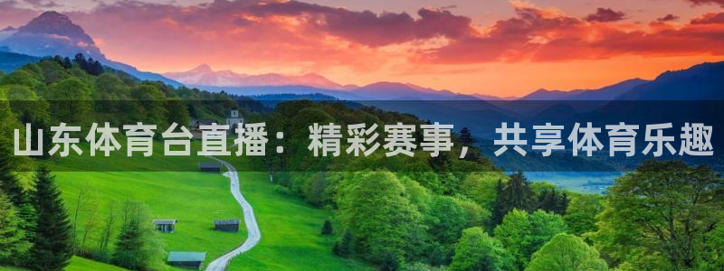 蜘蛛nba免费直播在线直播：山东体育台直播：精彩赛事，共享体育乐趣