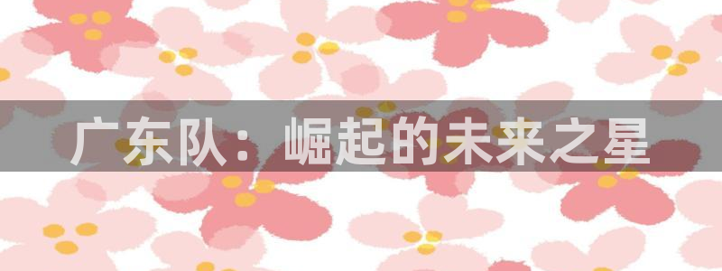 蜘蛛直播nba直播在线直播：广东队：崛起的未来之星
